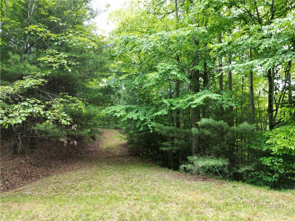 4 Fox Cove Road - Photo 1