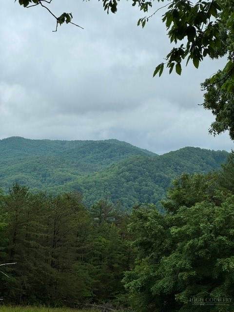 https://bt-photos.global.ssl.fastly.net/boone/orig_boomver_1_263356-2.jpg