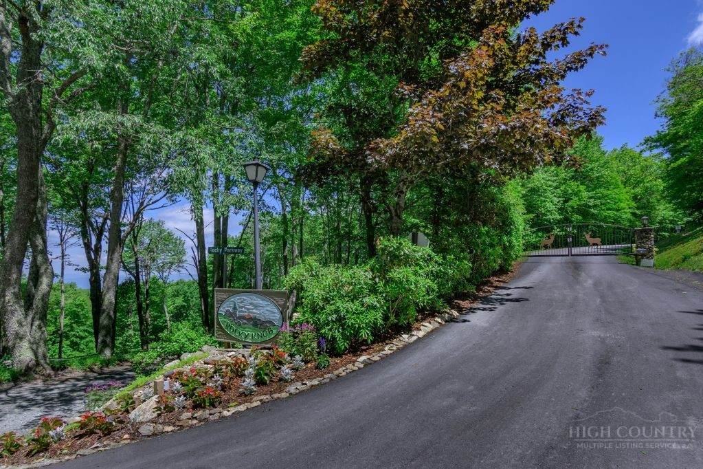 Lot 41 Turkey Crossing Lane - Photo 1
