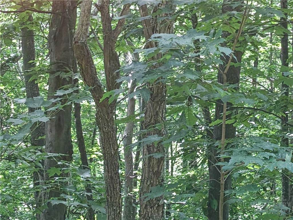 https://bt-photos.global.ssl.fastly.net/boone/orig_boomver_1_263391-2.jpg