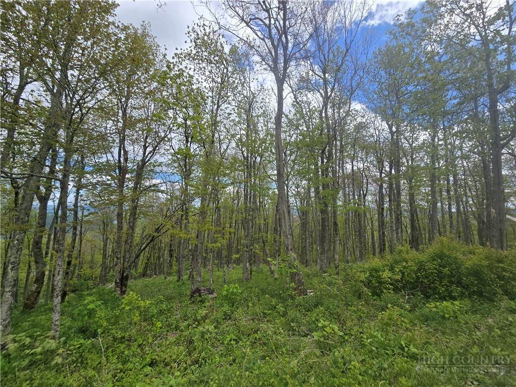 Lot 86 Elk Mountain Parkway - Photo 1