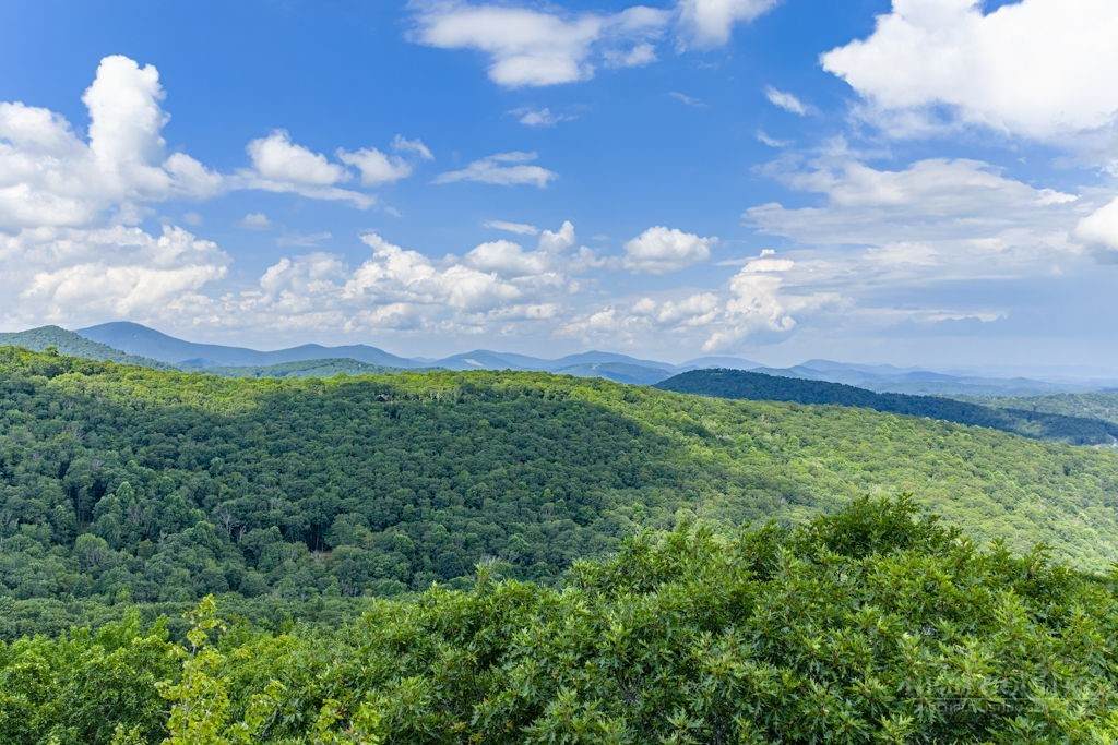 TBD Junaluska Road - Photo 1
