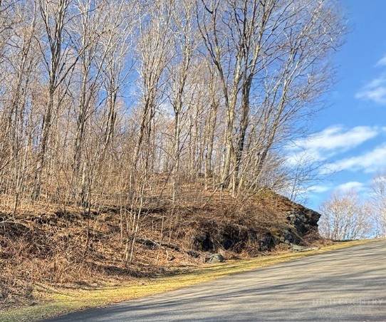 Lot 32 Jewel Weed Trail - Photo 1