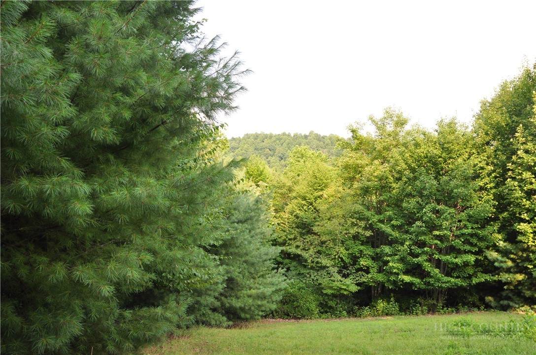 TBD Highland Laurel Lane - Photo 1