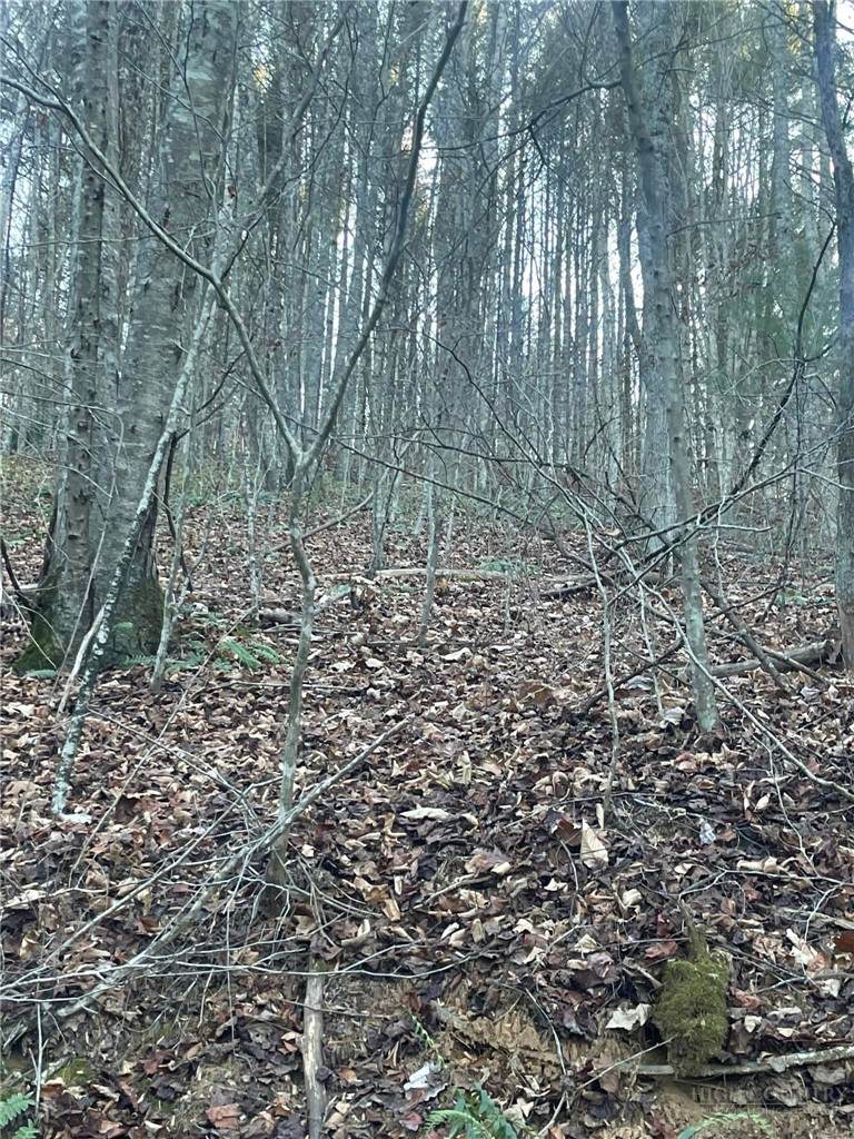 TBD Mountain Side Lane - Photo 1
