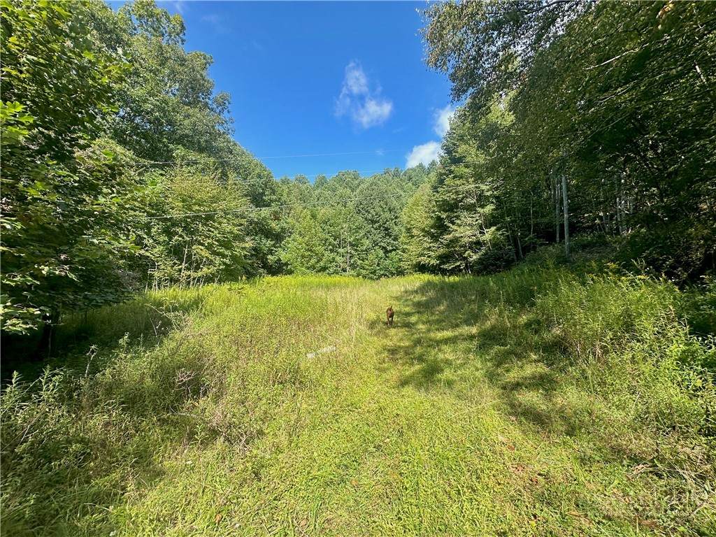 TBD Old Anderson Quarry Road - Photo 1