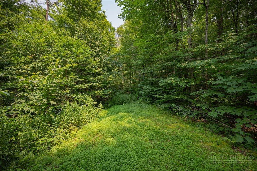 Lot 24 Linville River Drive - Photo 1