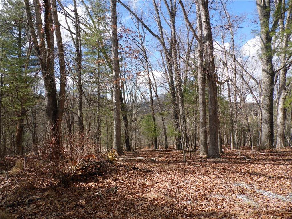 TBD Happy Woods Drive - Photo 1
