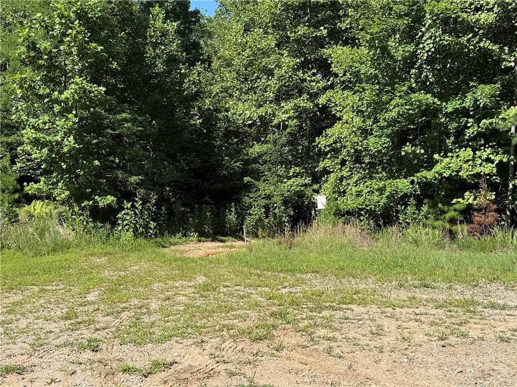 Lot 222 Casey Mountain Road - Photo 1