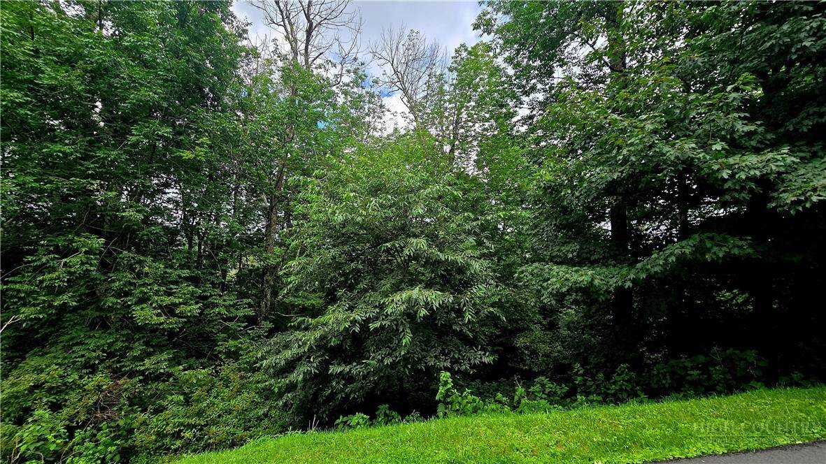 Lot 6 Boone Ridge Lane - Photo 1