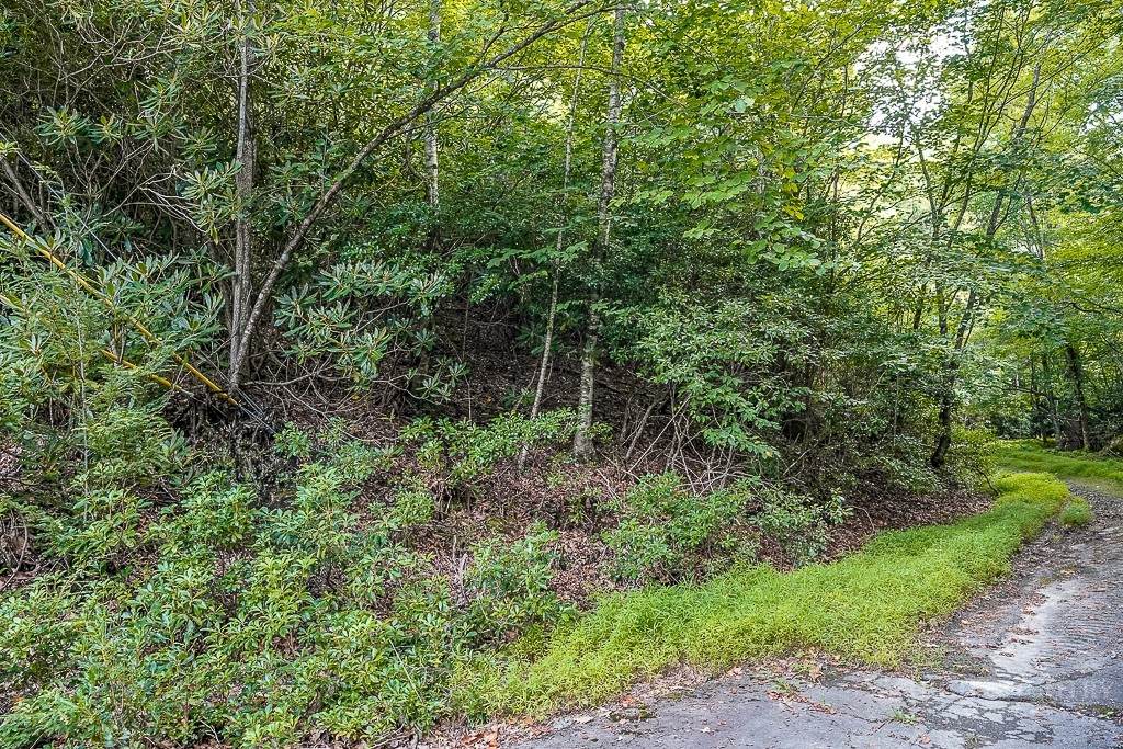 101 Chipmunk Lane - Photo 1