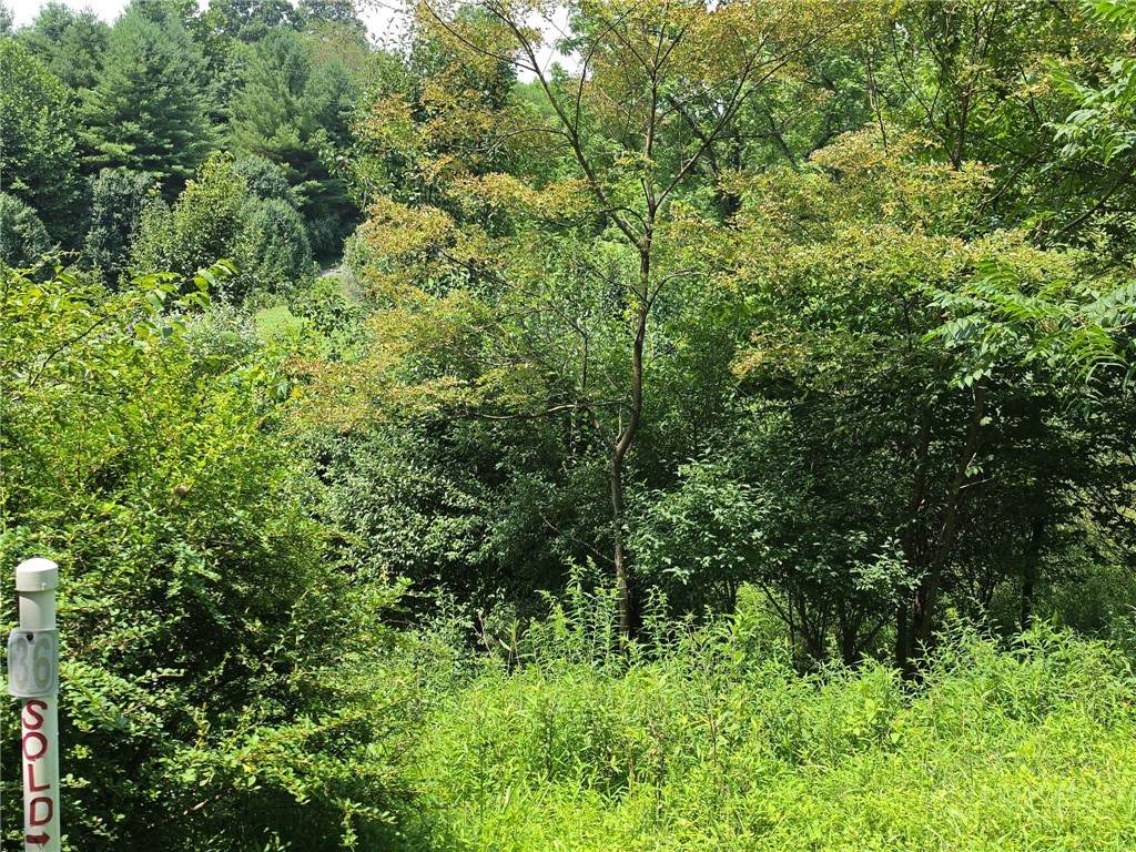 TBD lot 36 Georgina Way - Photo 1