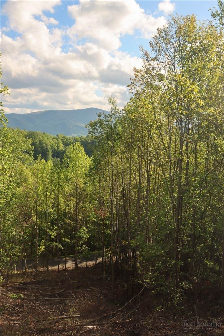 Lot 25 TBD Lake View Drive - Photo 1