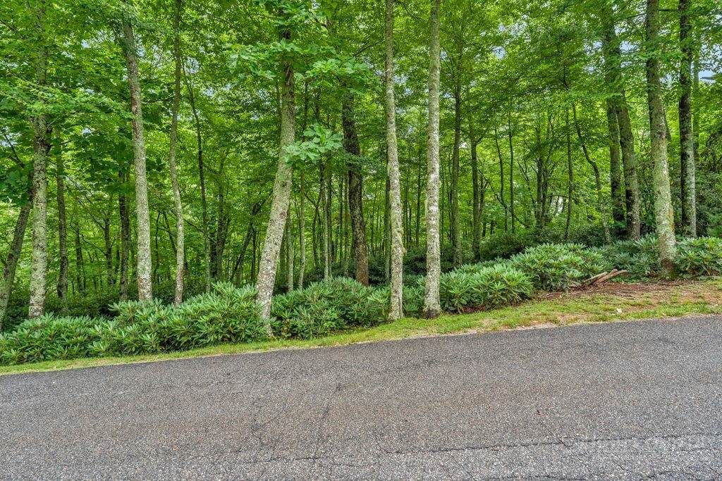Lot 408 Tbd Firethorn Trail - Photo 1
