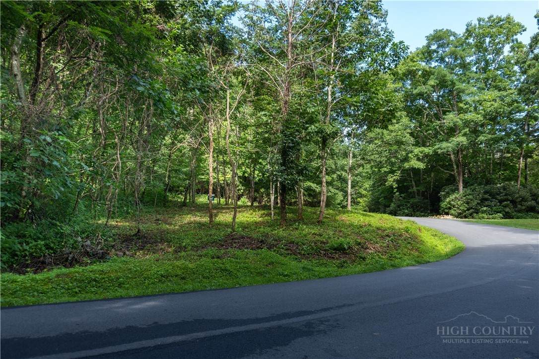 Lot 13 Hemlock Ridge Road - Photo 1