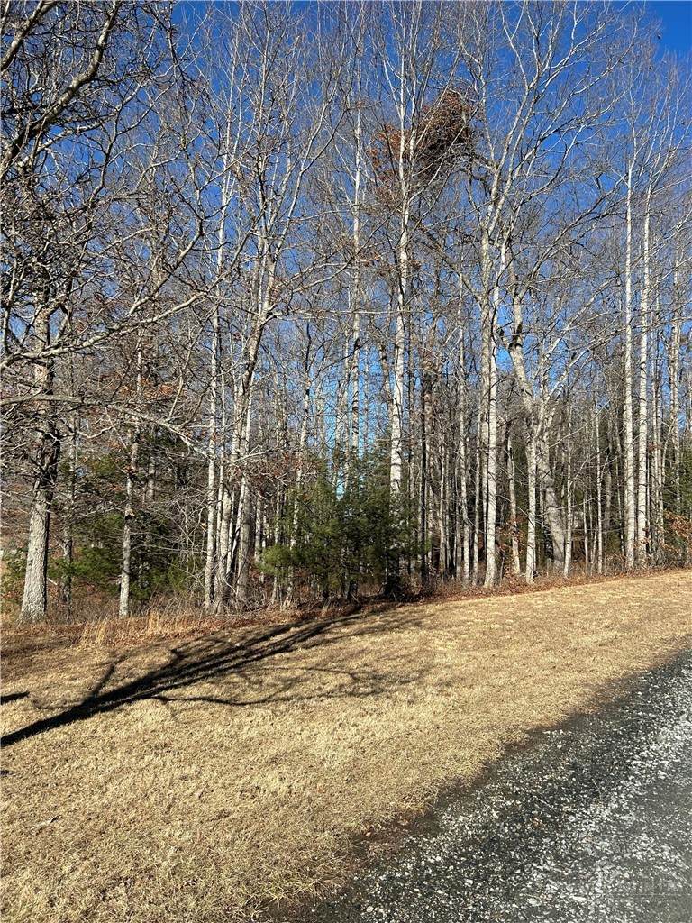 Lot 23 Bear Den Road - Photo 1