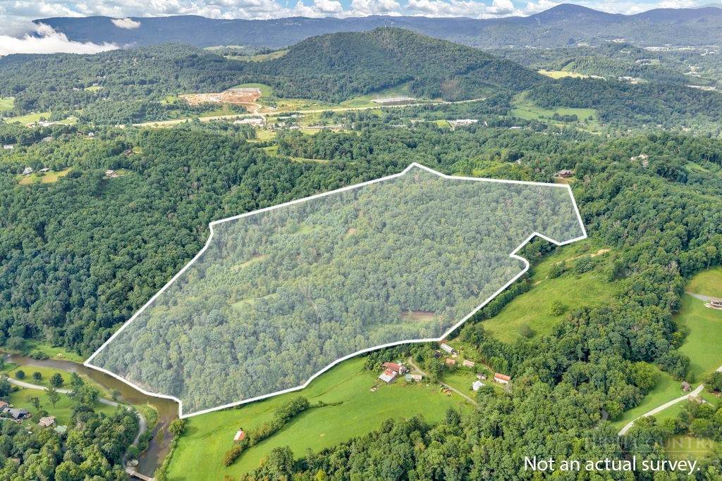 TBD Raven Rock Road - Photo 1
