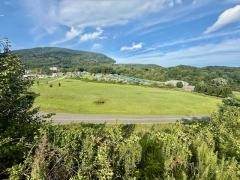 TBD Mount Jefferson Road - Photo 1