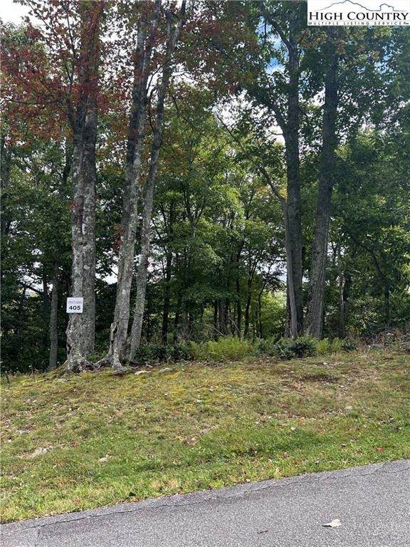 405 Firethorn Trail - Photo 1