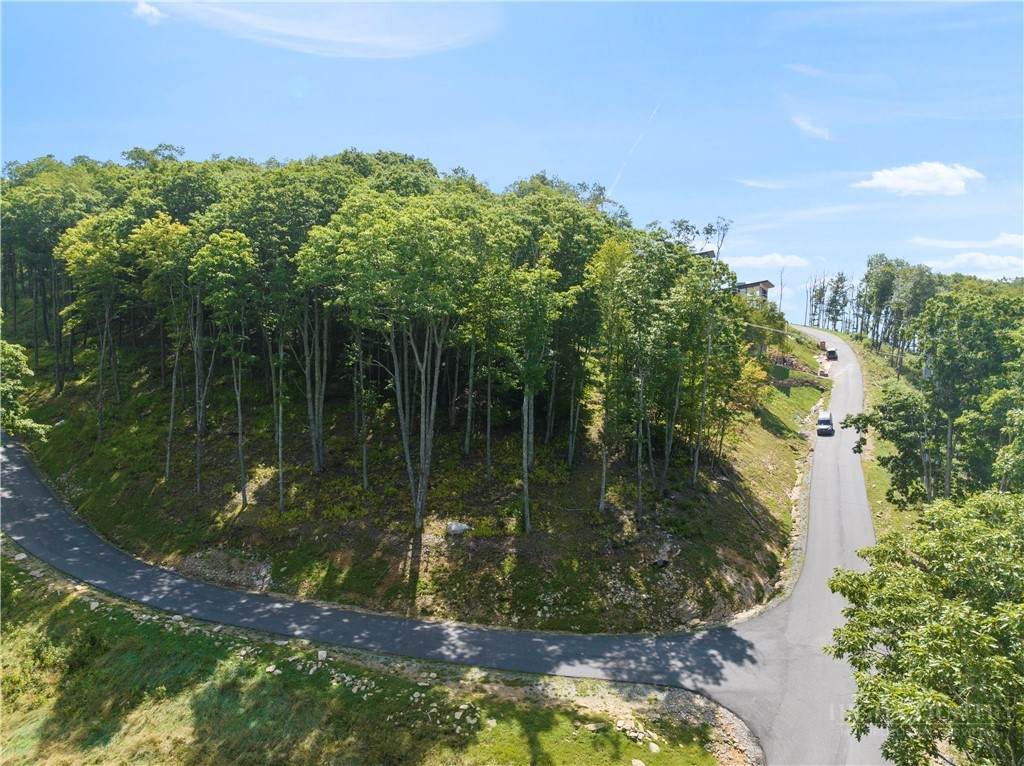 131 Eagle Roost - Photo 1