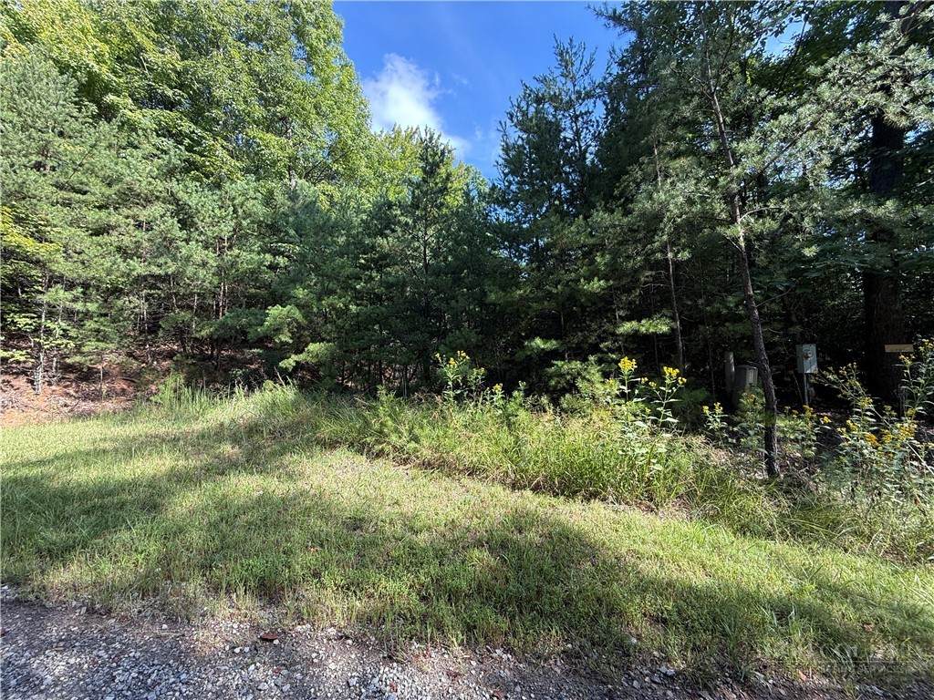 Lot 24 Wolf Pen Road - Photo 1