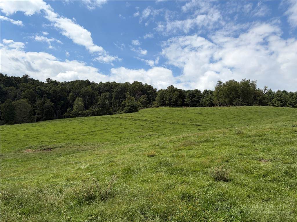 TBD Burnt Hill Road - Photo 1