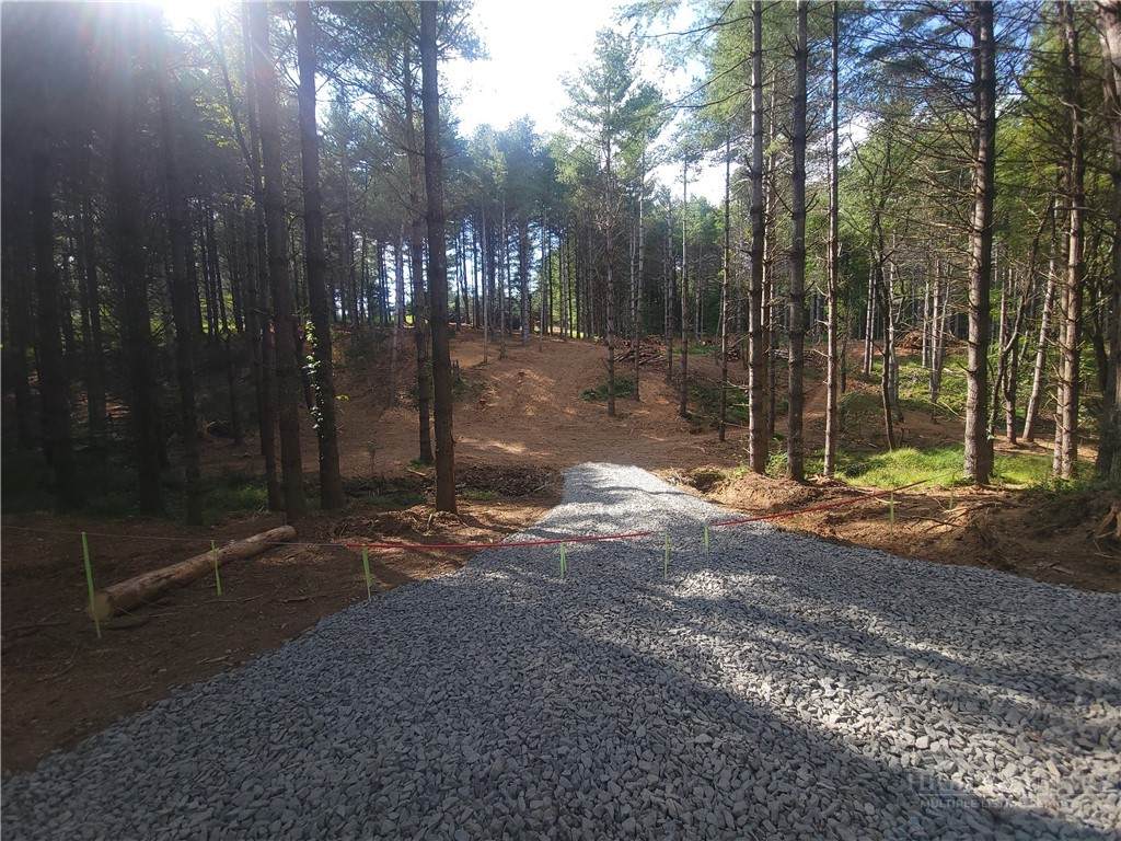 Lot #27 Allen Road - Photo 1