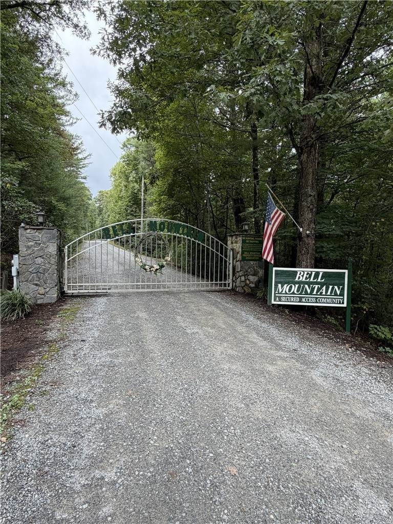 Lot 11 Bell Branch Road - Photo 1