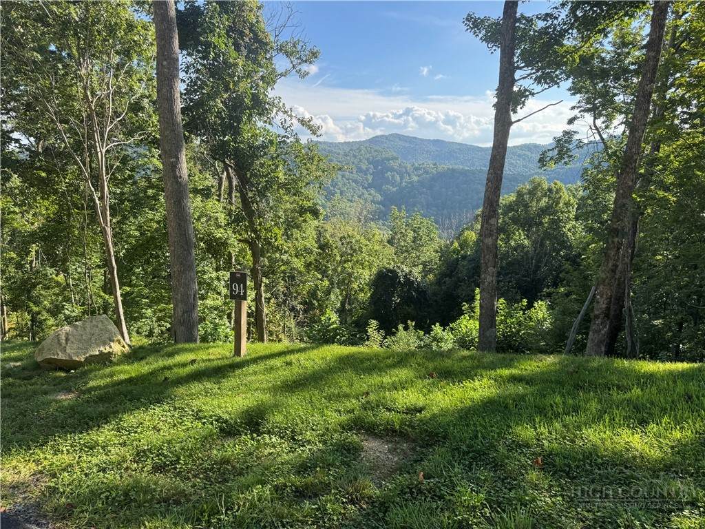Lot 94 Bear Paw Road - Photo 1