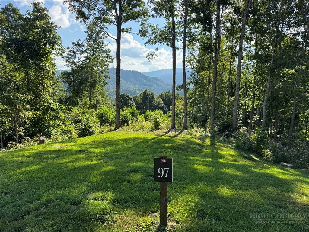 Lot 97 Bear Paw Road - Photo 1