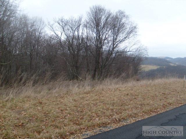 Lot #17 Terra Vista Drive - Photo 1