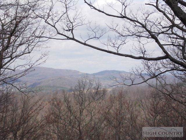 0 Bobcat Lane - Photo 1