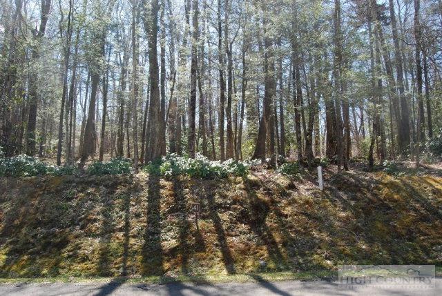 Lot 41 Linville River Lane - Photo 1