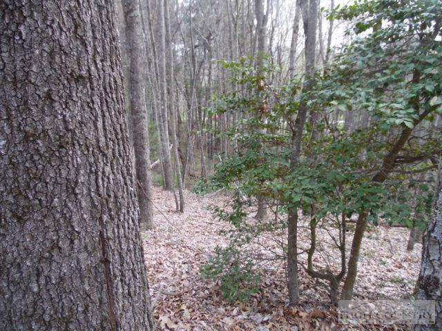 Lot 13 Westwood Drive - Photo 1