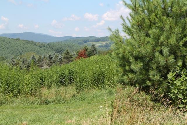 Tbd Cranberry Creek Road - Photo 1