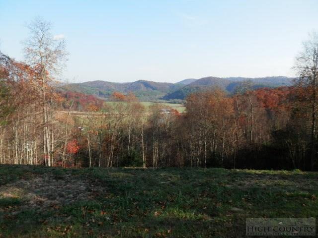 Lot 22 Twin Bridges Estates - Photo 1