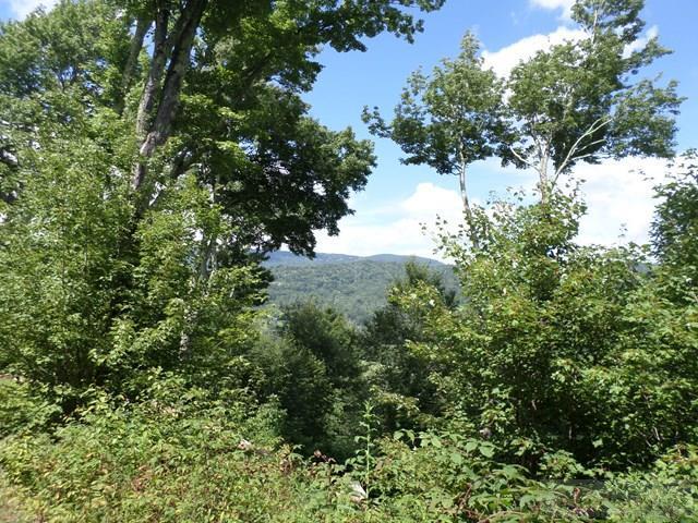 Lot 68 Orchard Lane - Photo 1