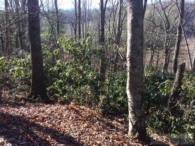 Tbd Panorama Drive - Photo 1