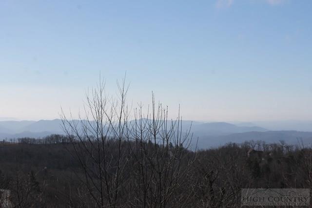 Lot 32 Grouse Run - Photo 1