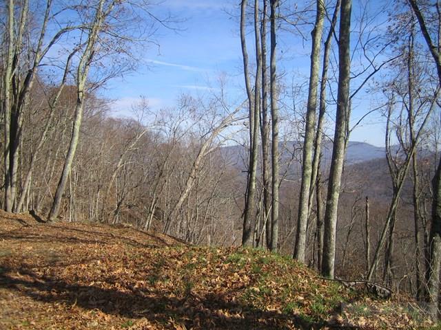 Lot 24 Nettles Ridge Road - Photo 1