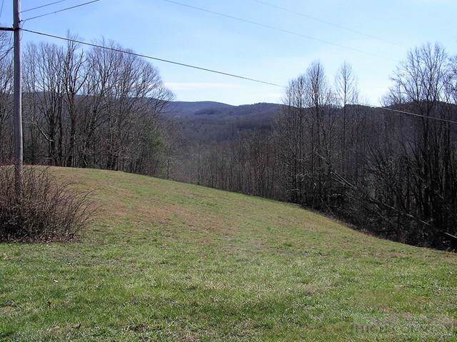 Tbd Russ Norris Road - Photo 1