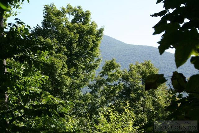Tract 2 Diamond Ridge Road - Photo 1