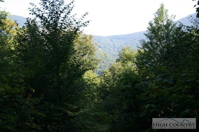 Tract 3 Diamond Ridge Road - Photo 1