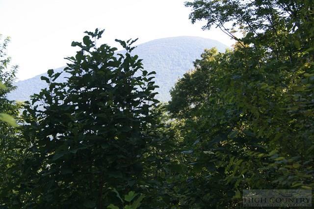 Tbd Diamond Ridge Road - Photo 1