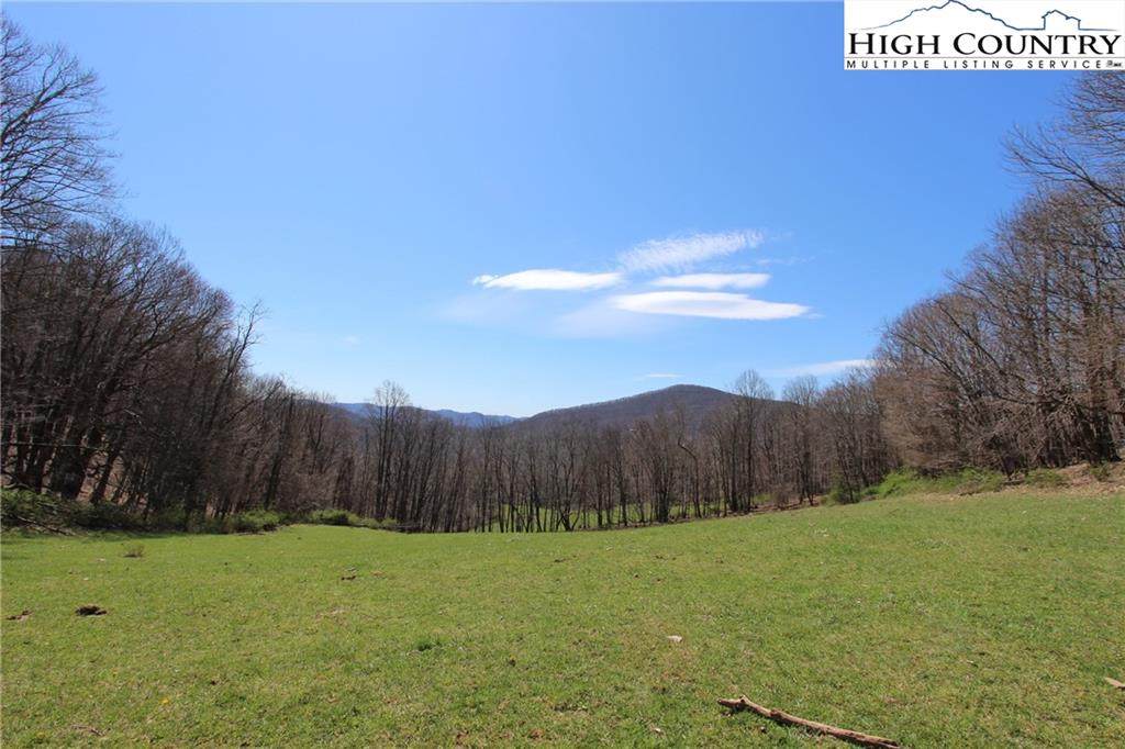 TBD Howards Creek Road - Photo 1
