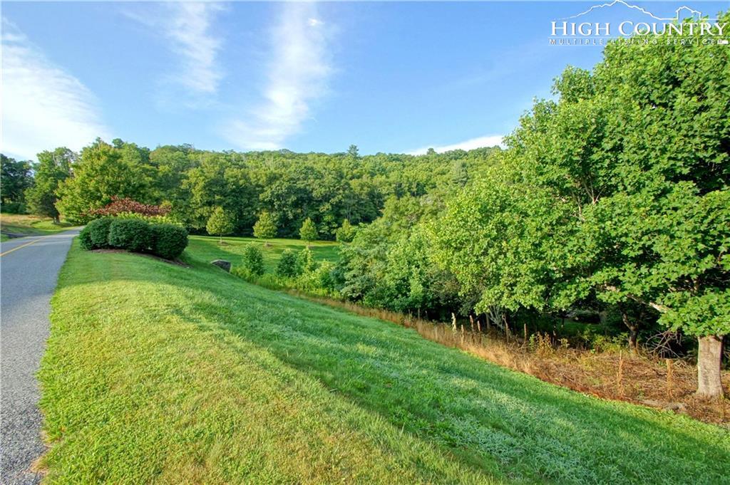 Lot 115 Firethorn Trail - Photo 1