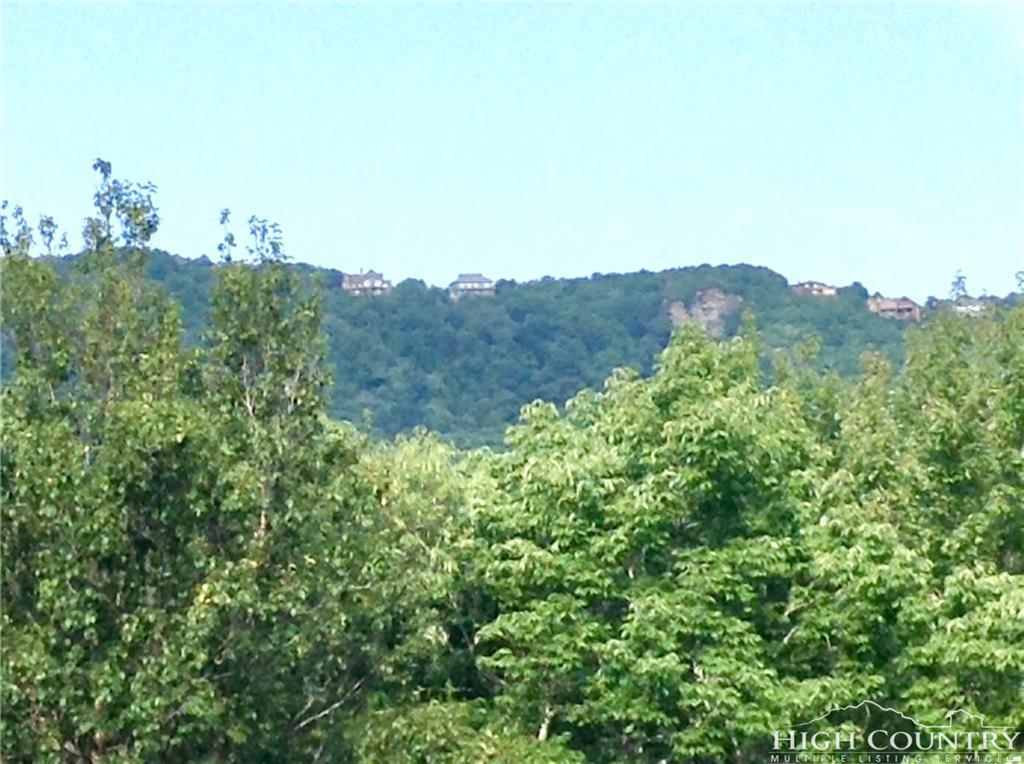 122 Pond Creek Road - Photo 1