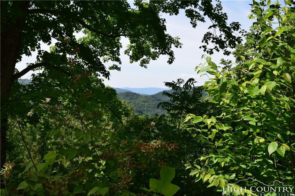 Lot 7 Pinnacle View - Photo 1