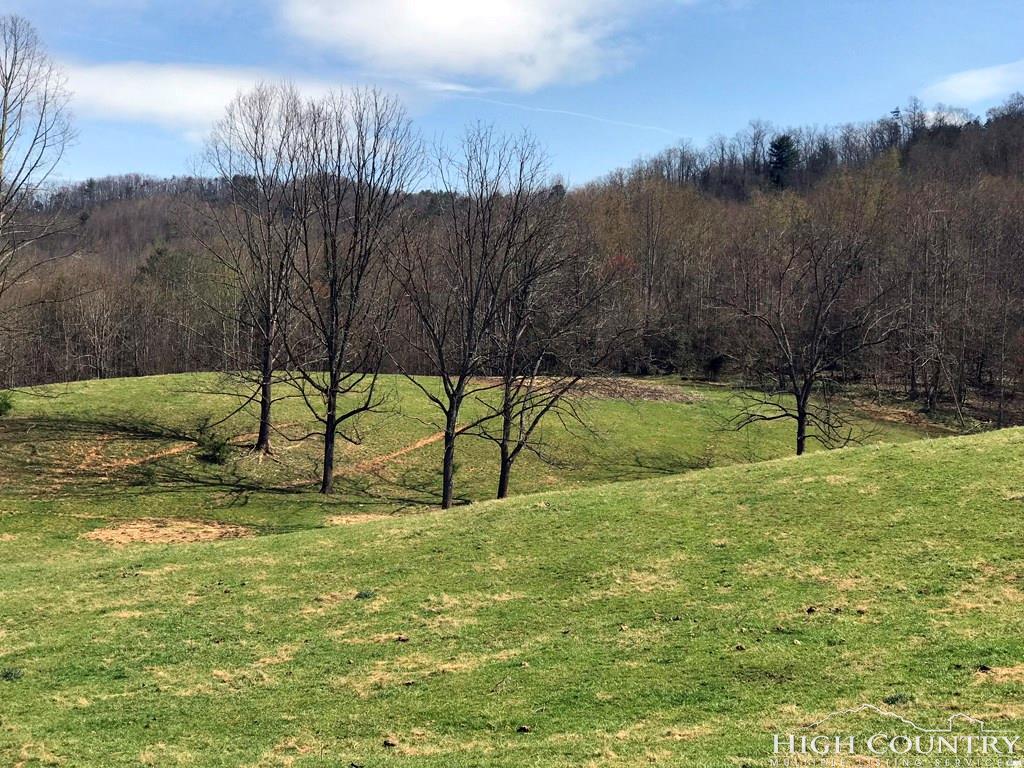 4395 Mud Puddle Lane - Photo 1