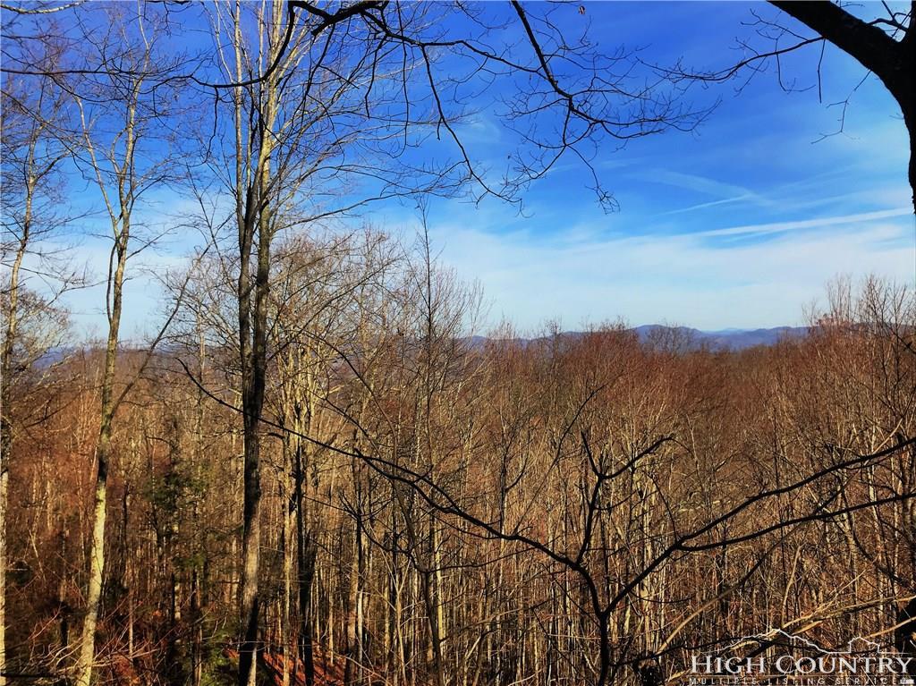722 Pine Ridge Road - Photo 1